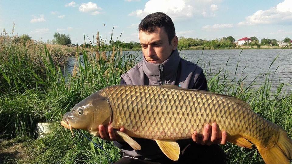 Profil - img3342.JPG